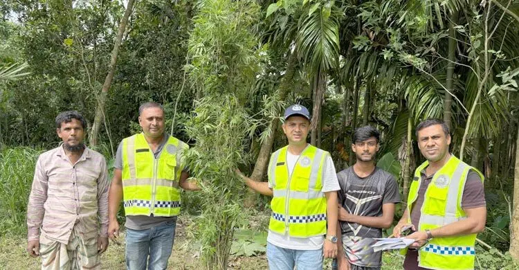 গ্রিনহাউজ পদ্ধতিতে গাঁজা চাষ, অভিযানের সময় ভারত পালালো বাবা-ছেলে
