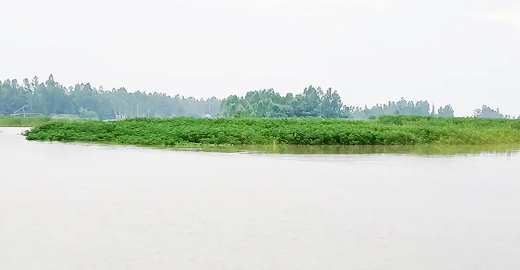 কুড়িগ্রামে ফের বাড়ছে নদ-নদীর পানি