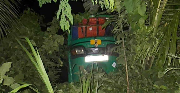 শিয়ালের সঙ্গে ধাক্কায় উল্টে গেলো সিএনজি, গৃহবধূ নিহত