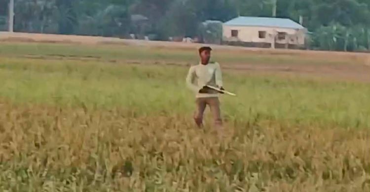 কুষ্টিয়ায় তুচ্ছ ঘটনায় হামলা, গুলিবিদ্ধসহ আহত ৭