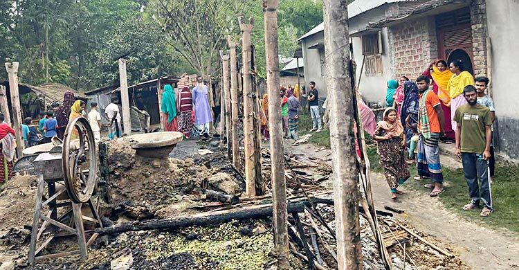 গোয়ালঘরে জ্বালানো মশার কয়েল থেকে অগ্নিকাণ্ড, গবাদিপশুসহ পুড়েছে বসতঘর
