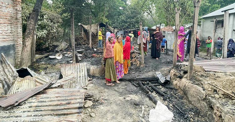 গোয়ালঘরে জ্বালানো মশার কয়েল থেকে অগ্নিকাণ্ড, গবাদিপশুসহ পুড়েছে বসতঘর