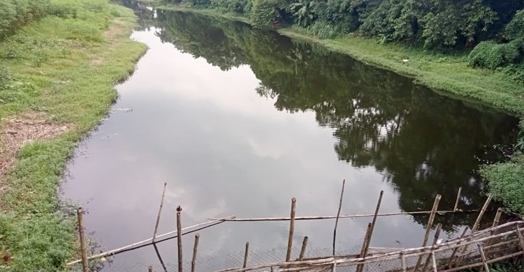 খরস্রোতা হিসনা নদী এখন মরা খাল, বাঁধ দিয়ে চলছে মাছ চাষ