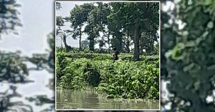 দৌলতপুর সীমান্তে বিএসএফের পুশ-ইন চেষ্টা প্রতিহত করল বিজিবি