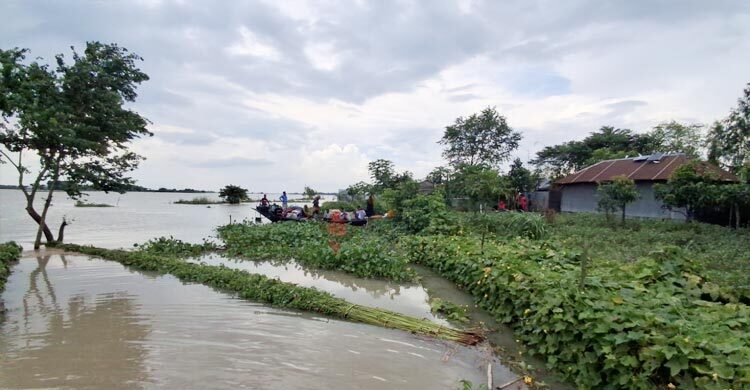 কুষ্টিয়ায় বন্যা পরিস্থিতির আরও অবনতি