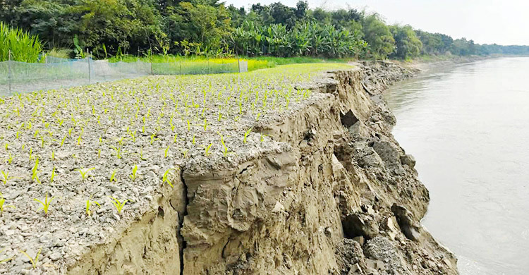 গড়াই নদীতে আকস্মিক ভাঙন, আতঙ্কিত বাসিন্দারা