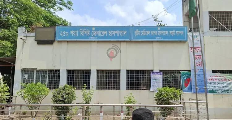 কুষ্টিয়ায় সাপ আতঙ্ক: ১০ মাসে ৮ জনের মৃত্যু, অ্যান্টিভেনম সংকট