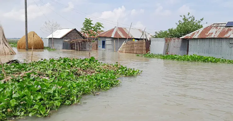 পদ্মায় পানি বাড়ার গতি কমলেও বেড়েছে দুর্ভোগ