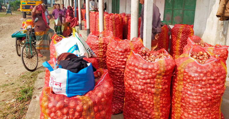 কুষ্টিয়ায় পঁচা পেঁয়াজের কেজি ১০০