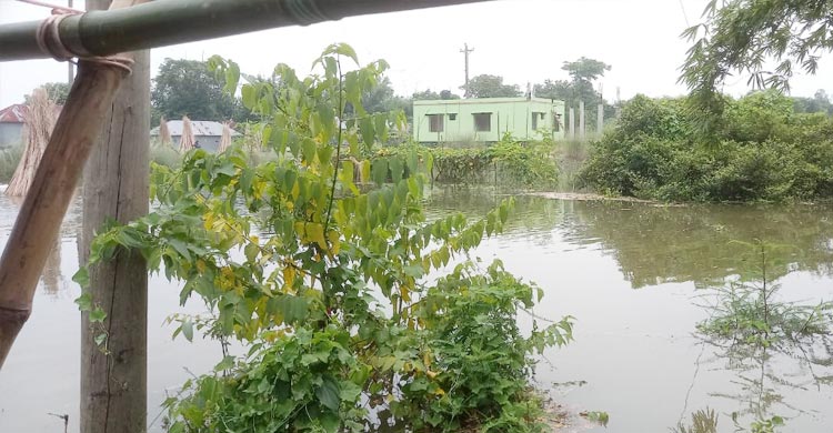 কুষ্টিয়ায় পদ্মা-গড়াই নদীর পানি বাড়ছে
