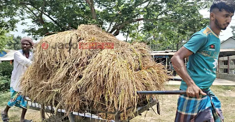আয়ের পাল্লা হালকা, ব্যয়ের ভারে ন্যুব্জ শ্রমজীবী