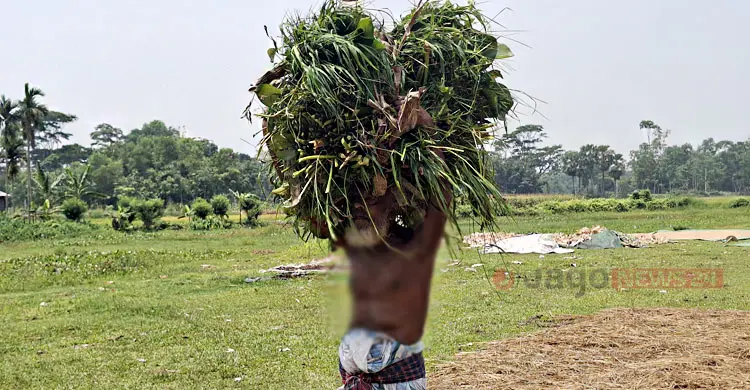 আয়ের পাল্লা হালকা, ব্যয়ের ভারে ন্যুব্জ শ্রমজীবী