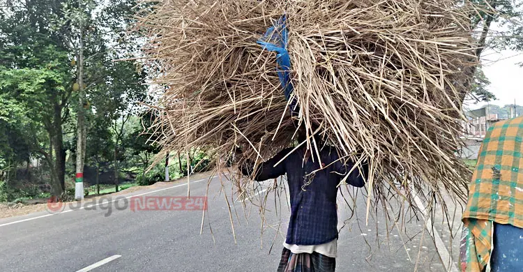 আয়ের পাল্লা হালকা, ব্যয়ের ভারে ন্যুব্জ শ্রমজীবী