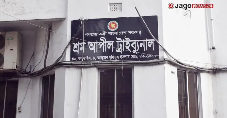 হাইকোর্টে আপিলেই বাড়ছে শ্রম মামলার জট