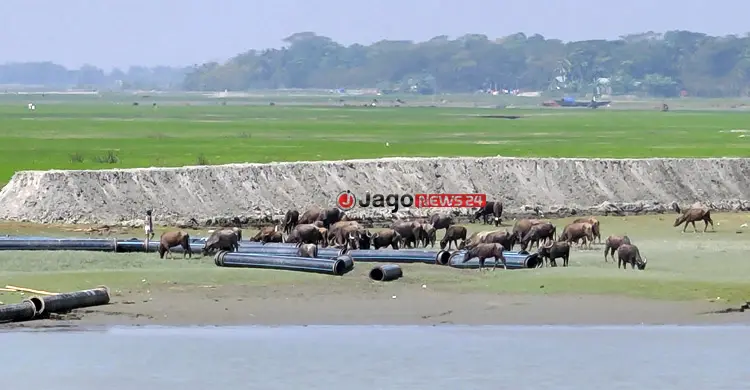 দুর্গম চরে রাত নামলেই গরু-মহিষ চুরির হিড়িক