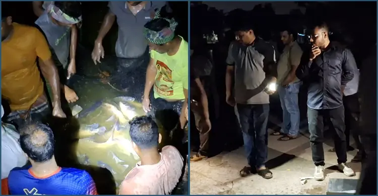 গভীর রাতে সরকারি দিঘির মাছ ধরে নিয়ে গেলেন সহকারী কমিশনার