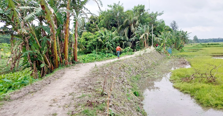 রামগঞ্জে ৪০ দিনের কাজে ইউপি সদস্যের পকেট ভারী!