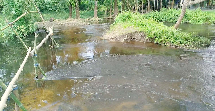 লক্ষ্মীপুরে ১৮ বছরেও সচল হয়নি স্লুইসগেট