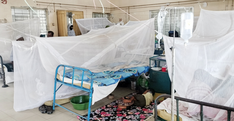 লক্ষ্মীপুরে চোখ রাঙাচ্ছে ডেঙ্গু