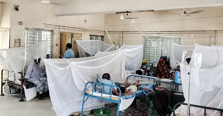 লক্ষ্মীপুরে ডেঙ্গুতে এক নারীর মৃত্যু, বাড়ছে আক্রান্তের সংখ্যা