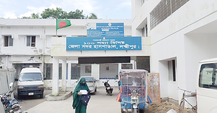 দুলাভাইকে বাঁচাতে গিয়ে বিদ্যুৎস্পৃষ্টে মারা গেলেন শ্যালকও