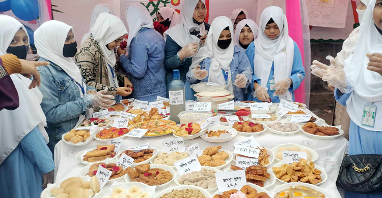 কুয়াশা জয় করে লক্ষ্মীপুরে শিক্ষার্থীদের পিঠা উৎসব