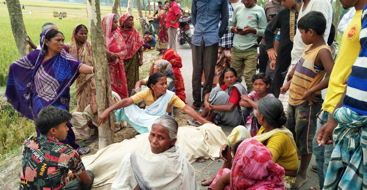 ধান কাটতে গিয়ে বিদ্যুৎস্পৃষ্টে শ্রমিকের মৃত্যু