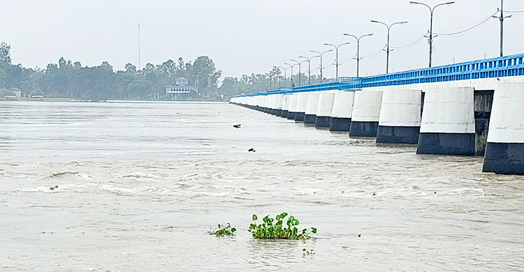 ফের বিপৎসীমা ছুঁই ছুঁই তিস্তায় পানি