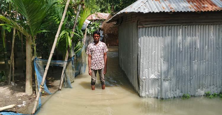 তিস্তার পানি কমলেও হাজারো পরিবার পানিবন্দি