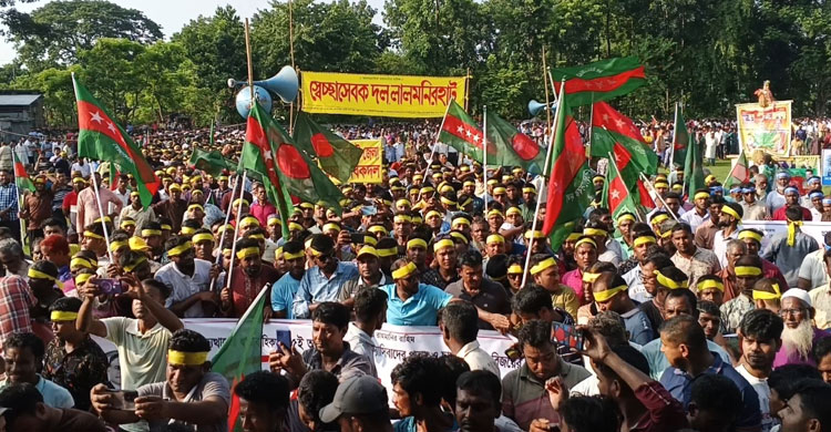 পৃথিবীতে স্বৈরাচারের কমিটি হলে শেখ হাসিনা হতেন সভাপতি: দুলু