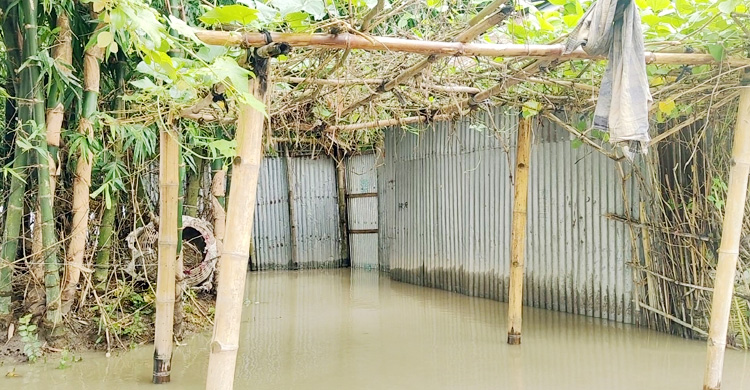 বিপৎসীমার ওপরে তিস্তা, লালমনিরহাটে ৫ হাজার পরিবার পানিবন্দি