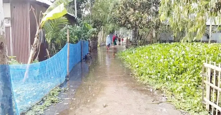 তিস্তায় পানি বেড়ে নিম্নাঞ্চল প্লাবিত