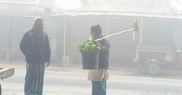 ১০ দিন সূর্যের দেখা নেই লালমনিরহাটে