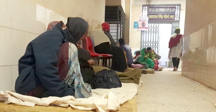 কান ছিঁড়ে নিয়ে গেলো শিয়াল, আহত আরও ৫