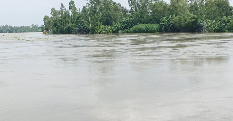 বিপৎসীমার ওপরে তিস্তা, লালমনিরহাটে ৫ হাজার পরিবার পানিবন্দি