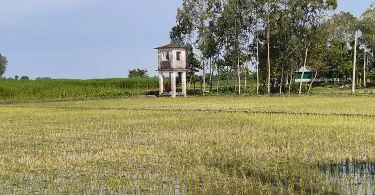 সীমান্তে আটক তিন ভারতীকে ফেরত পাঠালো বিজিবি
