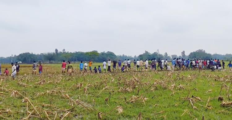 লালমনিরহাটে ৩৩ জনকে পুশইনের চেষ্টা বিএসএফের, রুখে দিলো বিজিবি