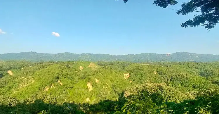 লামায় অপহৃত ৬ রাবার শ্রমিককে উদ্ধার করলো সেনাবাহিনী