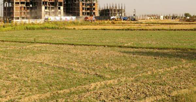 পুরোনো পদ্ধতিতে ভূমি জরিপ বন্ধের নির্দেশ, আগেরগুলো বাতিল