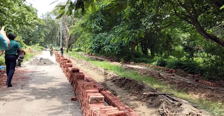 গণকবর থেকে তোলা হচ্ছে ১১৪ লাশ, পরিচয় শনাক্তে ডিএনএ প্রোফাইল