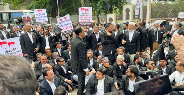 জুলাইয়ে আন্দোলনে যাবেন সরকারবিরোধী আইনজীবীরা