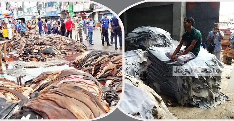 চামড়া খাতে ঋণে বড় ছাড়, ‘কম্প্রোমাইজ’ পরিশোধ ছাড়াই মিলবে নতুন অর্থায়ন