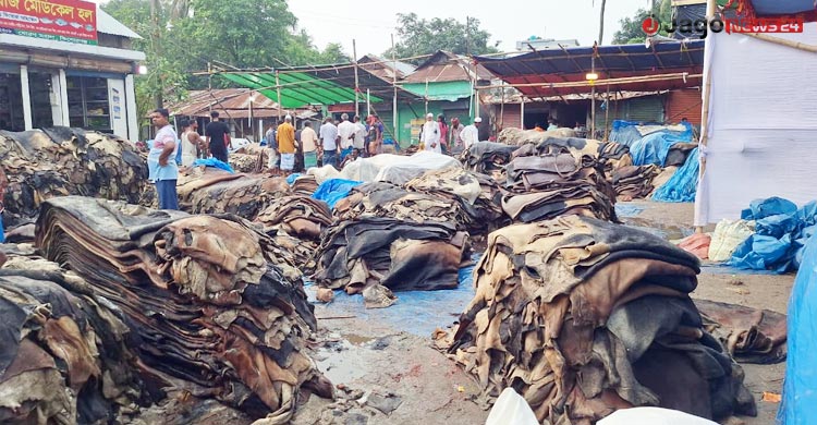‘সরকার শুধু দামই ঠিক করে, চামড়াতো আর কেনে না’