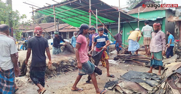 ‘সরকার শুধু দামই ঠিক করে, চামড়াতো আর কেনে না’