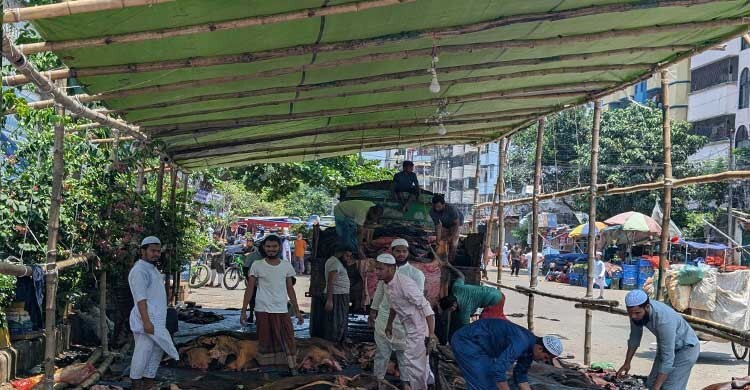 কোরবানির চামড়া মসজিদ-মাদরাসায় দান করছেন অনেকে