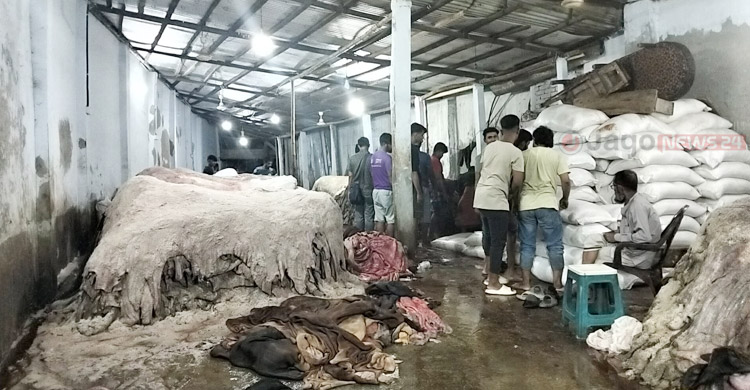 ৯৩ লাখ পশু কোরবানি, চামড়া সংগ্রহ নামতে পারে ৭০ লাখে