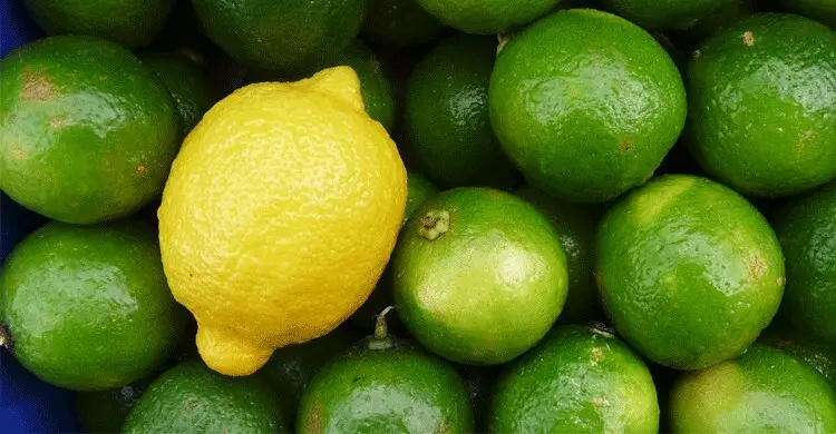 রসালো লেবু চেনার সহজ উপায়