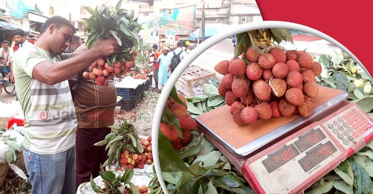 কেজিতে বিক্রি হচ্ছে লিচু, লাভ নাকি ক্ষতি