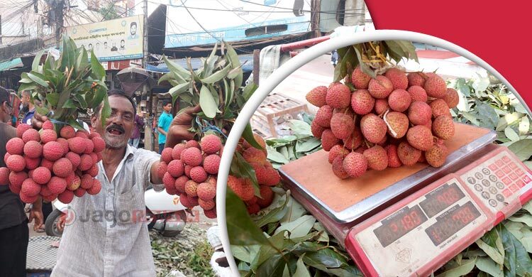 কেজিতে বিক্রি হচ্ছে লিচু, লাভ নাকি ক্ষতি