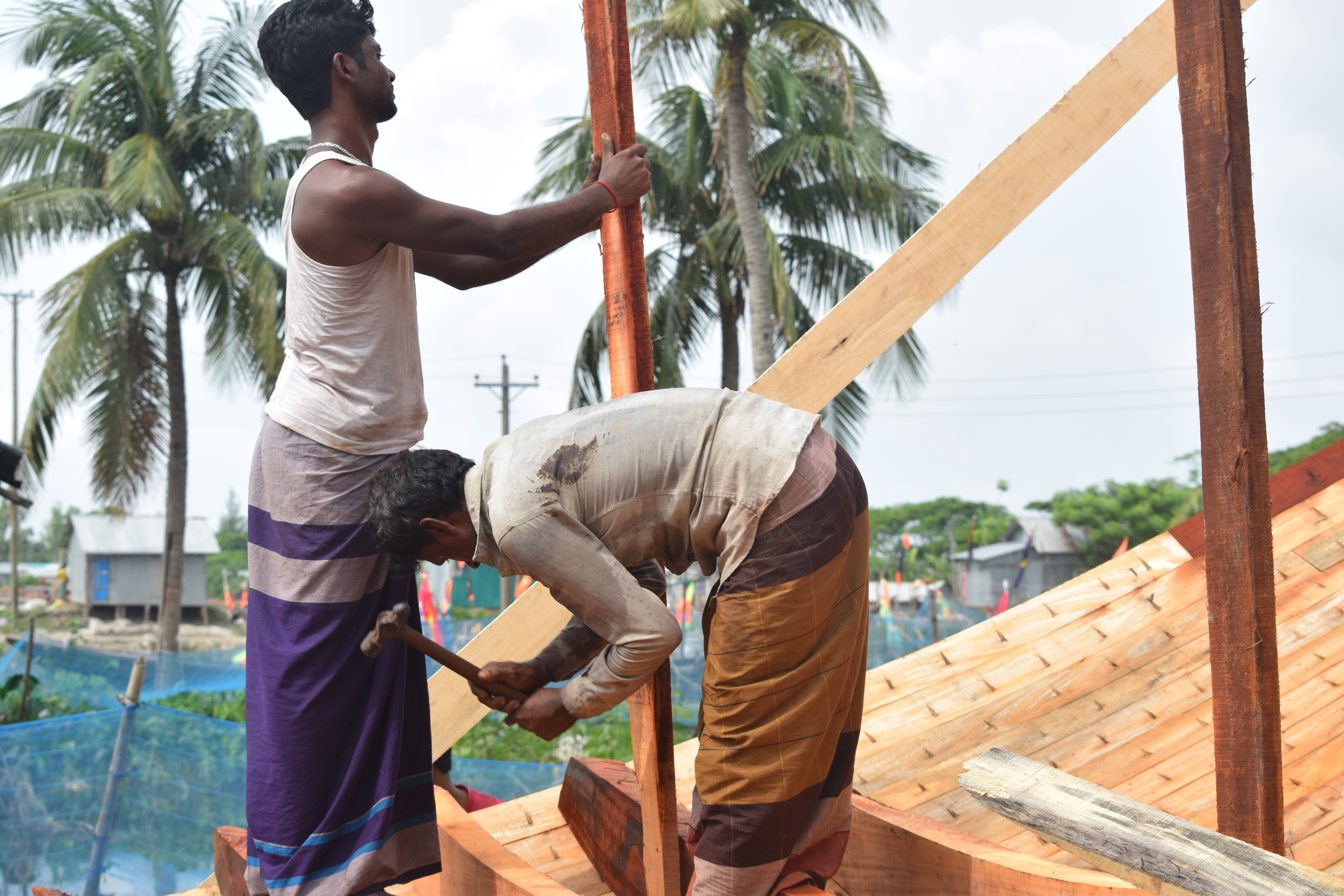 ইলিশের ট্রলারের জীবনচক্র
